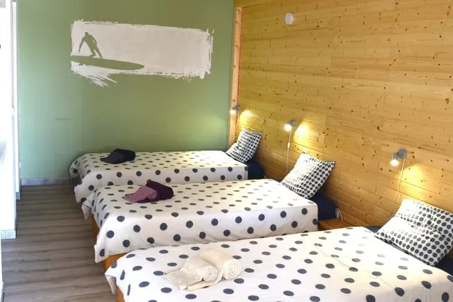 sharks-lodge-peniche